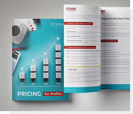 "Pricing for Profits" ebook preview